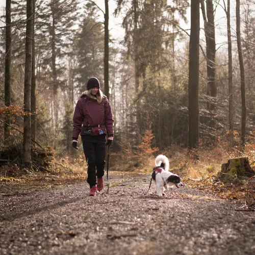 Das Leben mit einem Deprivationshund - wenn Stress & Angst zur Tagesordnung gehören